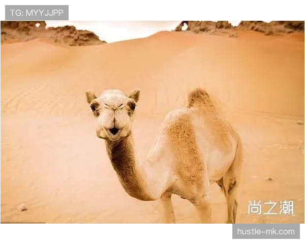 努涅斯状态回暖，年轻天才迈向顶级射手蜕变之路